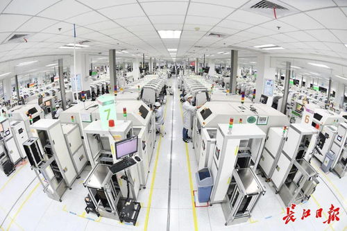 智造大城新標桿 解碼武漢智能工廠的“智高點”——紙制品制造業的轉型之路